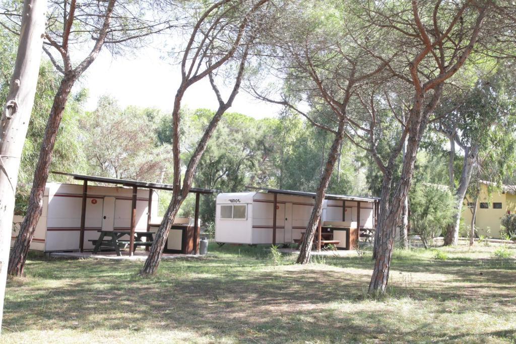 Camping Golfo Dell'Asinara Platamona Chambre photo
